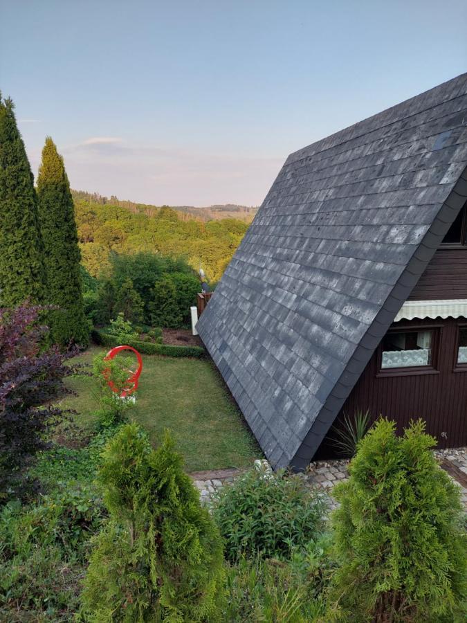 Haus Am Willingen Ferienhaus *